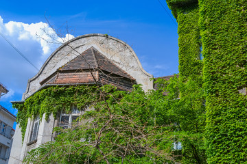 Building of 'Vajdahunyad Castle': viewed from its porch 