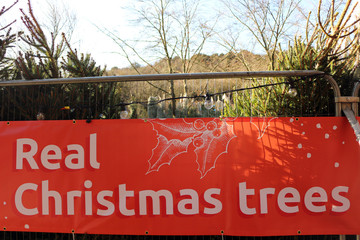 Obraz premium A sign outdoors advertising Real Christmas trees