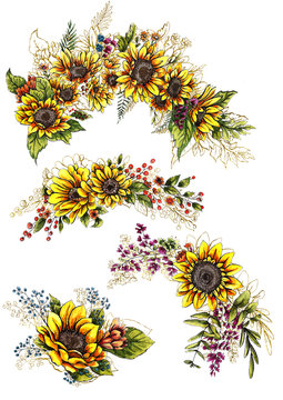A watercolor drawing of a bouquet of vibrant golden yellow sunflowers, hand painted on white background in the style of vintage botanical art