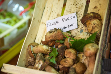 fresh porcini mushrooms at the market