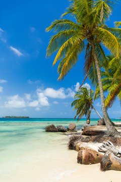 San Blas island beach