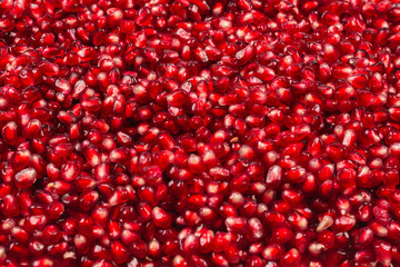 Christmas decoration, red ball isolated on white background.