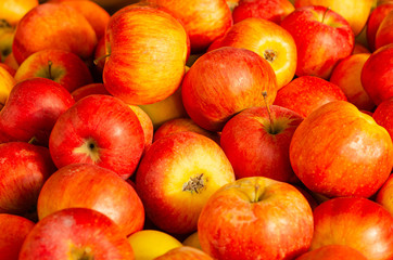 Fresh ripe organic red apples ready to be eaten, as background