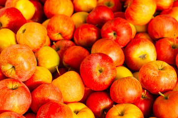 Naklejka na ściany i meble Fresh ripe organic red apples ready to be eaten, as background