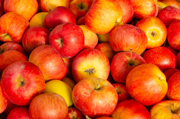 Fresh ripe organic red apples ready to be eaten, as background