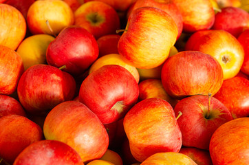 Fototapeta na wymiar Fresh ripe organic red apples ready to be eaten, as background