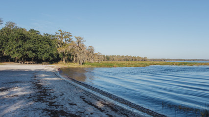 Lake Louisa State Park, Florida, shoreline of lake louisa near Orlando