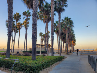 Santa Monica Muscle Beach Mornings 2