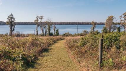 A hiking trail in Lake Louisa State park in Clermont, a suburb of Orlando, Florida.