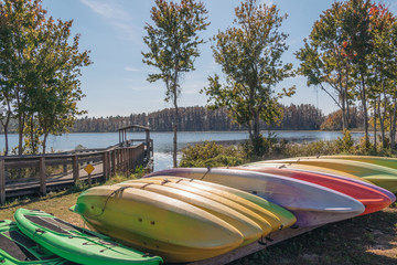 Kayaks at the campground of Lake Louisa State Park in Clermont, Florida - obrazy, fototapety, plakaty