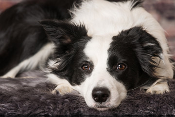 Silver christmas gifts on blue background