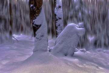 winter © Bogdan