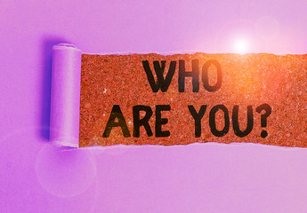 Conceptual hand writing showing Who Are You Question. Concept meaning asking about someone identity...