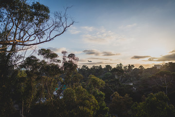 panoramic view of the city