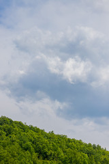 Top of forest on hill and cloudy sky