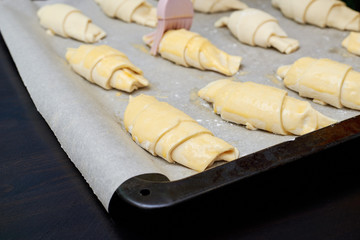 croissants on a baking sheet, greased with an egg before baking