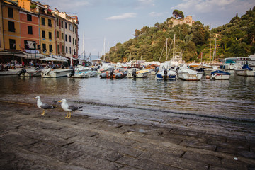 Fototapeta na wymiar Portofino, an Italian fishing village, Genoa province, Italy. A vacation resort with a picturesque harbour and with celebrity and artistic visitors.