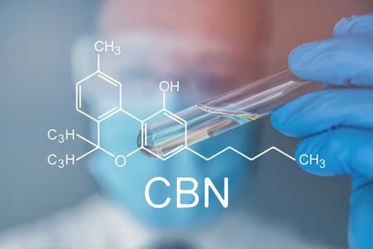 medical CBN Cannabinol formula . Bloom of cannabis. Indoor grow cannabis cultivation. The concept of growing pot marijuana. Weed for recreational purposes. Indoor method of growing cannabis.