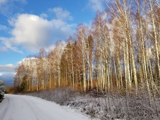 View of a road covered with snow and a winter birch forest against a blue sky