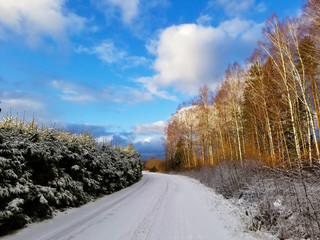 View of a road covered with snow and winter birch and spruce forest against a blue sky