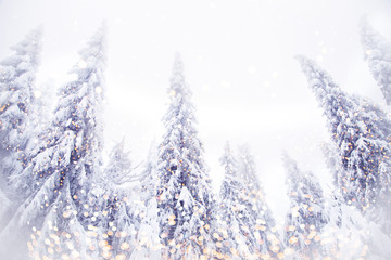 magical christmas tree lights winter background
