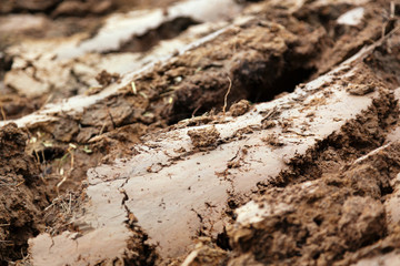 Mud Field