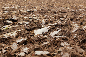 Muddy field
