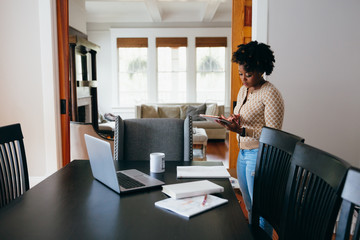 Professional woman working from home