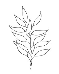 Vector illustration of one line drawing abstract plant. Hand drawn modern minimalistic design for creative logo, icon or emblem