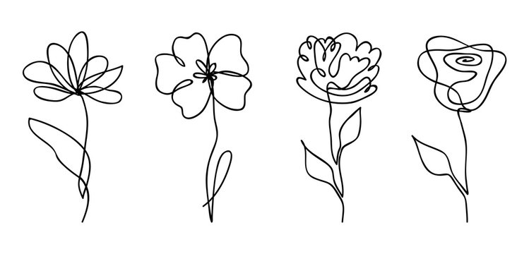 picture Small Rose Outline Simple https stock adobe com hk images vector set of one line drawing abstract flowers hand drawn modern minimalistic design for creative logo icon or emblem 307249130 start checkout 1 content id 307249130