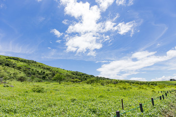 Fototapeta na wymiar 高原の風景