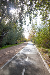 Obraz premium Bikeway in a park full of trees in Zaragoza, Spain