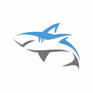 Shark fish logo design template vector illustration 