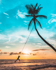 swing palm tree beach sunset