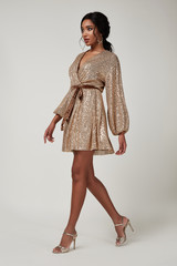 Beautiful sexy lady fashion pretty woman model pose wear shine gold silk shiny dress collection...