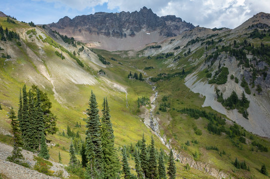 View of alpine meadow and Gilbert Peak, along the Pacific Crest Trail, Goat Rocks Wilderness, Washington,Mountains and lush alpine meadow, Goat Rocks Wilderness, Washington