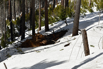 mount side covered in snow