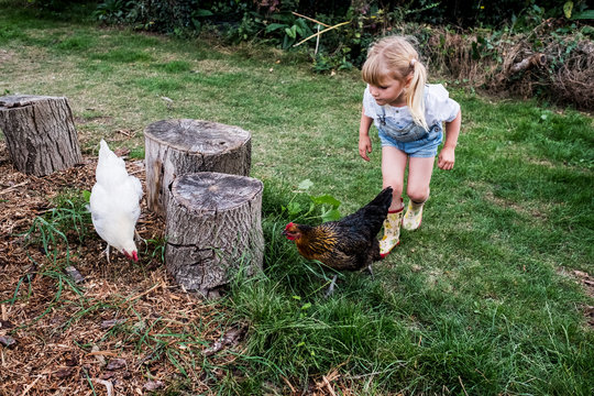 Blond girl and two chickens standing next to tree stumps in a garden.