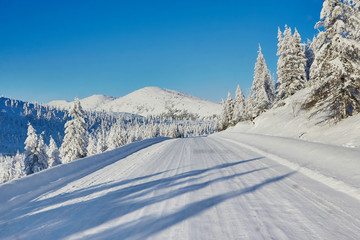 Fototapeta na wymiar Winter mountain road surrounded by snowy larch
