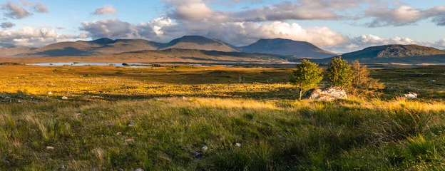 Fotobehang Panoramatic view on Scotland highland during sunset with clouds, green yellow grass painting typical summer view © Ondej