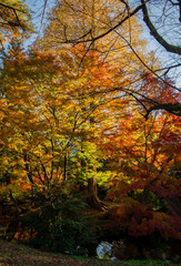 Autumn fall season change color