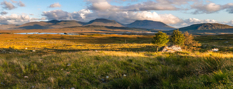 Panoramatic view on Scotland highland during sunset with clouds, green yellow grass painting typical summer view