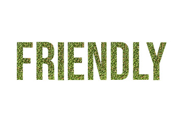 Microgreen font word FRIENDLY made of cilantro microgreen on white background with paper cut shape of letter. Collection of flora font for your unique decoration in summer