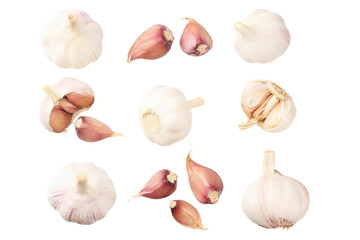 garlic isolated on white background. top view