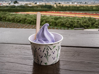 lavander ice-cream