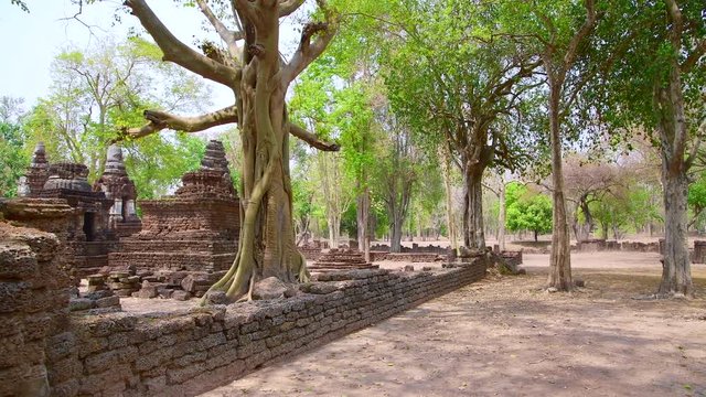 4K video of Chedi Ched Thaeo temple in Si Satchanalai historical park, Thailand.