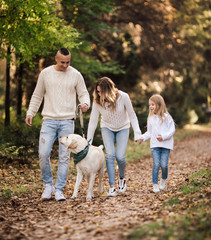 Naklejka na ściany i meble Happy beautiful family with dog labrador is having fun together walking the in park.