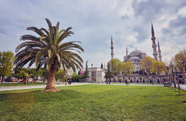 Naklejka premium Sultan Ahmed Mosque in Istanbul, Turkey in a beautiful summer day