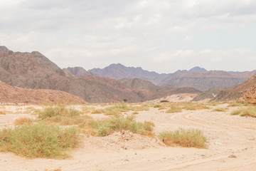 Desert, red mountains, rocks and cloudy sky. Egypt, the Sinai Peninsula.