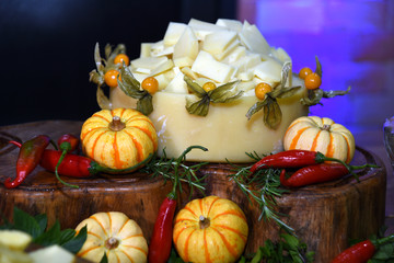 cheese with small pumpkins on wooden table with herbs and pepper